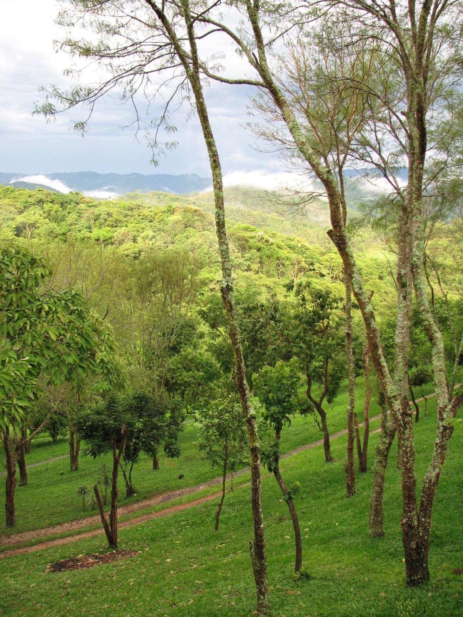 Estalagem Champagny Santo Antônio do Pinhal
